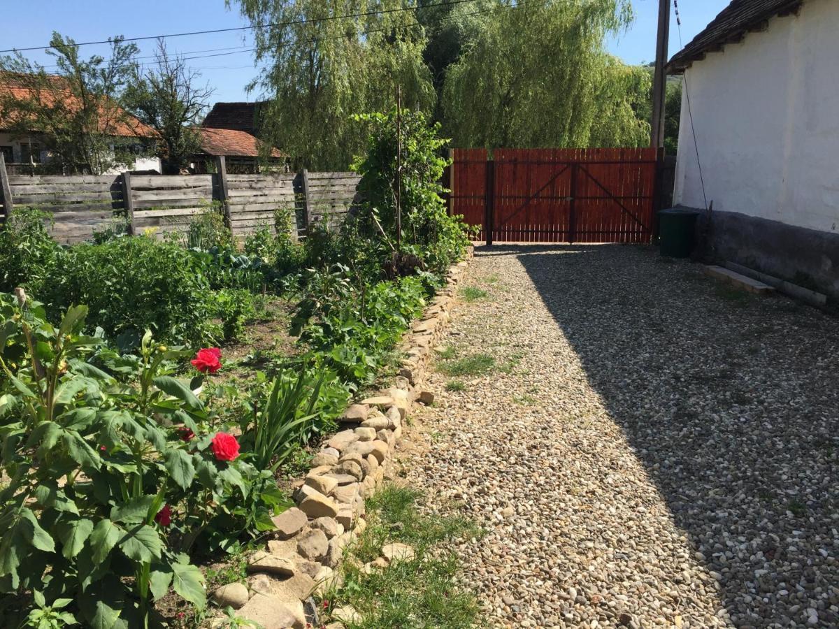 Pensiune Agroturistica Hanna Ocland Exterior foto