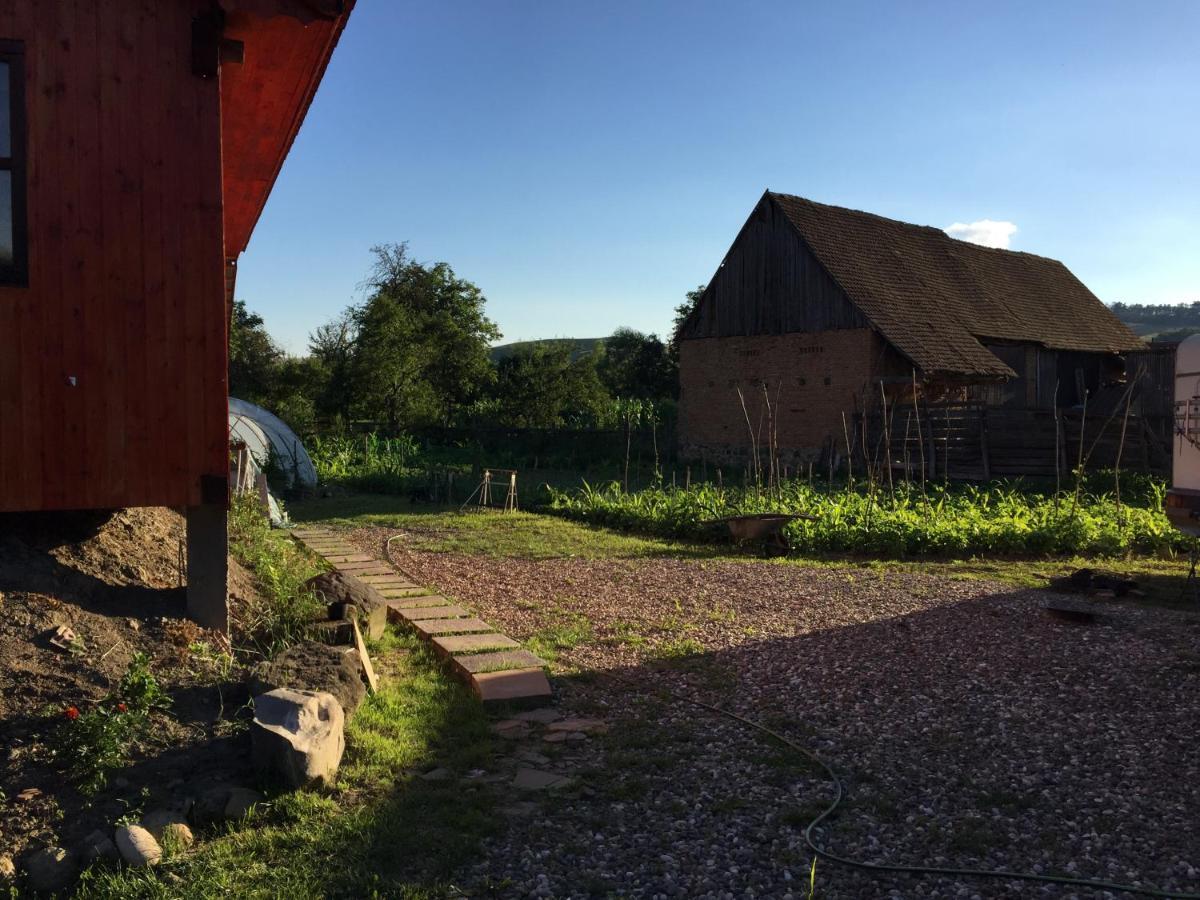 Pensiune Agroturistica Hanna Ocland Exterior foto