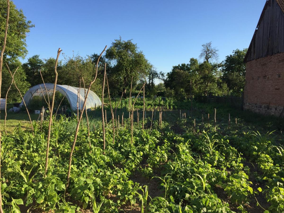 Pensiune Agroturistica Hanna Ocland Exterior foto